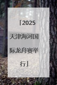 2025天津海河国际龙舟赛举行