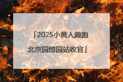 2025小黄人趣跑北京园博园站收官