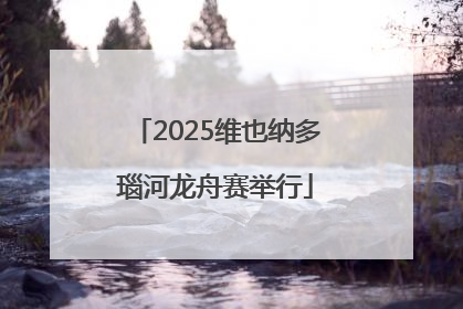 2025维也纳多瑙河龙舟赛举行