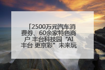 2500万元汽车消费券、60余家特色商户 丰台科技园“AI丰台 更京彩”未来玩家市集活动正式开幕