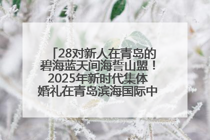 28对新人在青岛的碧海蓝天间海誓山盟！2025年新时代集体婚礼在青岛滨海国际中心文明实践广场举行