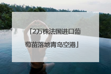 2万株法国进口葡萄苗落地青岛空港