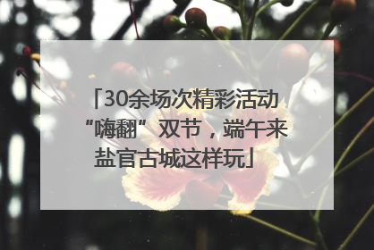 30余场次精彩活动“嗨翻”双节，端午来盐官古城这样玩