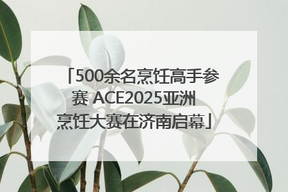 500余名烹饪高手参赛 ACE2025亚洲烹饪大赛在济南启幕