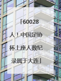 60028人！中国足协杯上座人数纪录属于大连