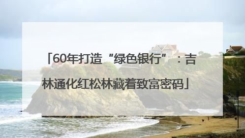 60年打造“绿色银行”：吉林通化红松林藏着致富密码