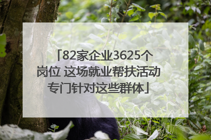 82家企业3625个岗位 这场就业帮扶活动专门针对这些群体