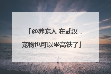 @养宠人 在武汉，宠物也可以坐高铁了