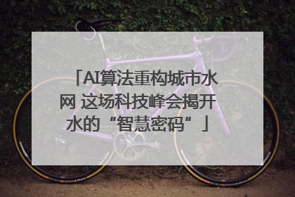 AI算法重构城市水网 这场科技峰会揭开水的“智慧密码”