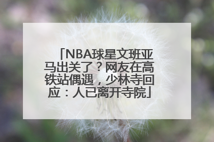 NBA球星文班亚马出关了？网友在高铁站偶遇，少林寺回应：人已离开寺院