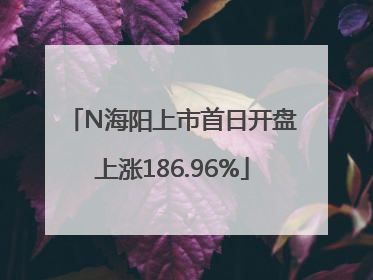 N海阳上市首日开盘上涨186.96%