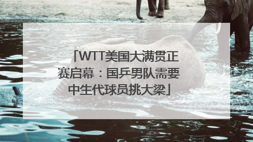 WTT美国大满贯正赛启幕：国乒男队需要中生代球员挑大梁