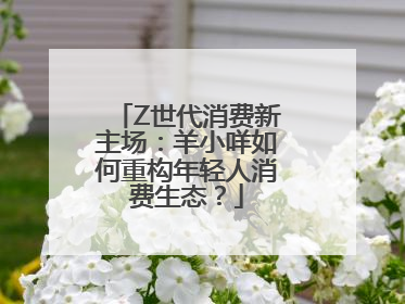 Z世代消费新主场：羊小咩如何重构年轻人消费生态？